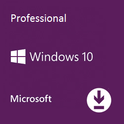 Windows 10 Professional ISO download
